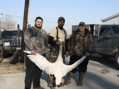 Tundra Swan Hunt | Elizabeth City, NC