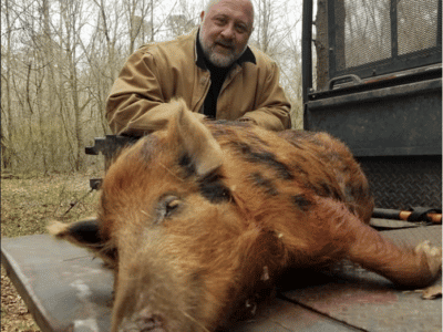 5 Day Wild Boar Hunt | Magnolia, NC