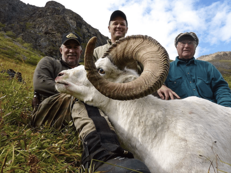 Unlimited Bighorn Sheep Hunt | Big Timber, MT
