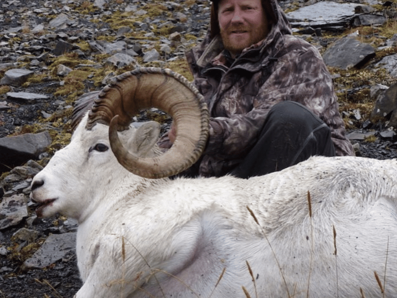Unlimited Bighorn Sheep Hunt | Big Timber, MT