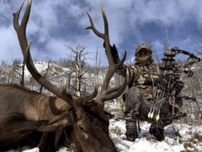 7 Day Elk Hunt | Archery | Big Timber, MT