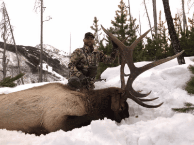 8 Day Elk Hunt | Rifle | Big Timber, MT