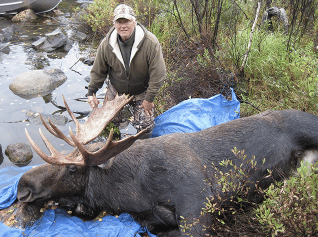 7-day-fly-in-guided-moose-hunt-manitoba-ca-huntanywhere