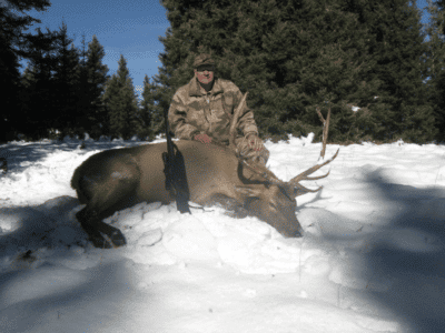 5 Day Elk Hunt | Muzzleloader | Chama, NM