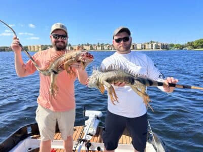 4 Hour Iguana Hunt | Blowgun | Miami, FL