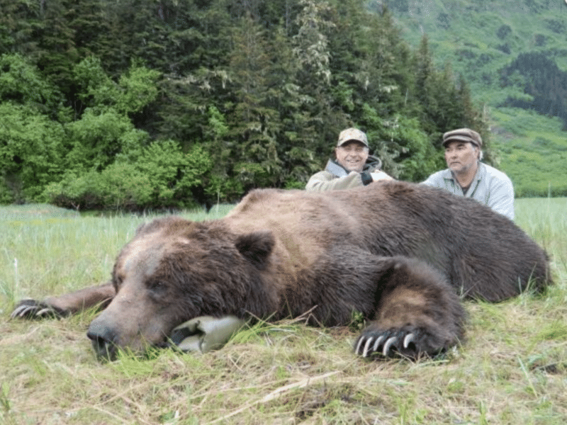 10 Day, 1on1 Brown Bear Hunt | Bow | Cordova, AK