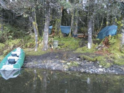 10 Day, 1on1 Brown Bear Hunt | Rifle | Cordova, AK