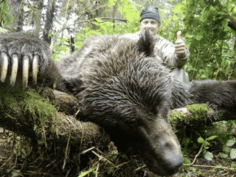 10 Day, 1on1 Brown Bear Hunt | Bow | Cordova, AK