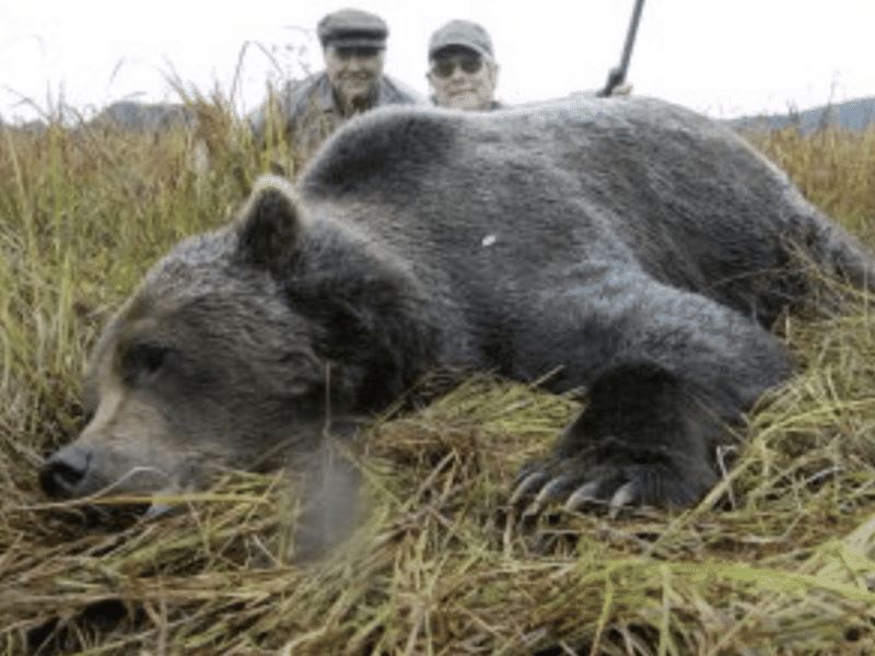 10 Day, 1on1 Brown Bear Hunt | Bow | Cordova, AK