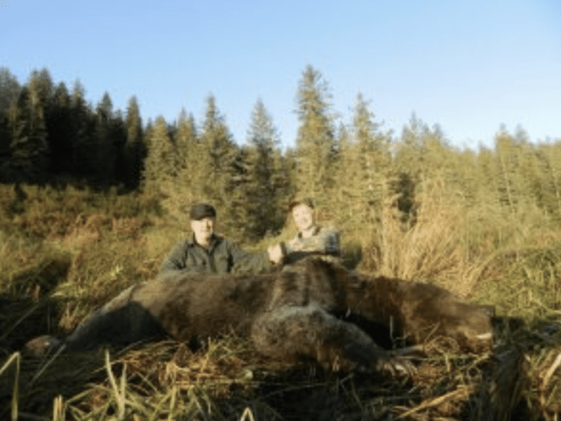 10 Day, 1on1 Brown Bear Hunt | Bow | Cordova, AK