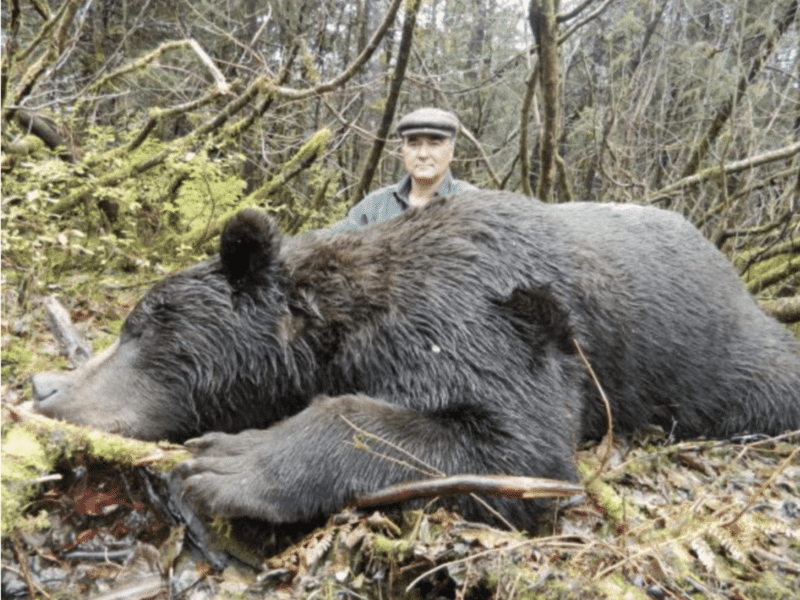 10 Day, 1on1 Brown Bear Hunt | Bow | Cordova, AK