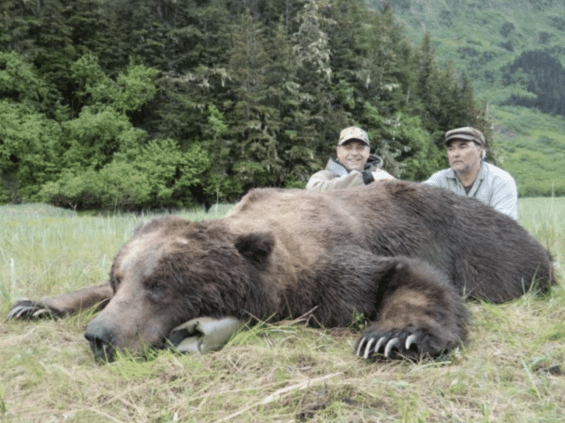 10 Day, 1on1 Brown Bear Hunt | Bow | Cordova, AK