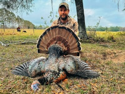 2 Person | 2 Day| Self Guided Spring Osceola Turkey Hunt | Chiefland, FL