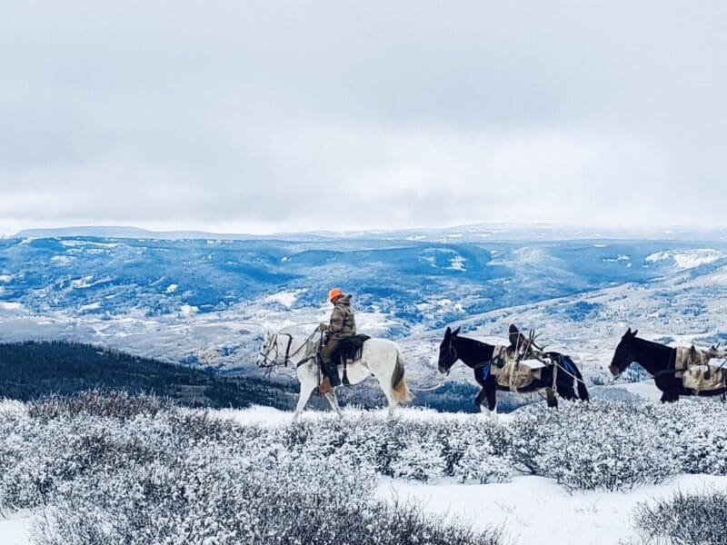 7 Day Elk Hunt | Drop Camp | Rifle | Gypsum, CO