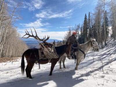 7 Day Elk Hunt | Drop Camp | Rifle | Gypsum, CO