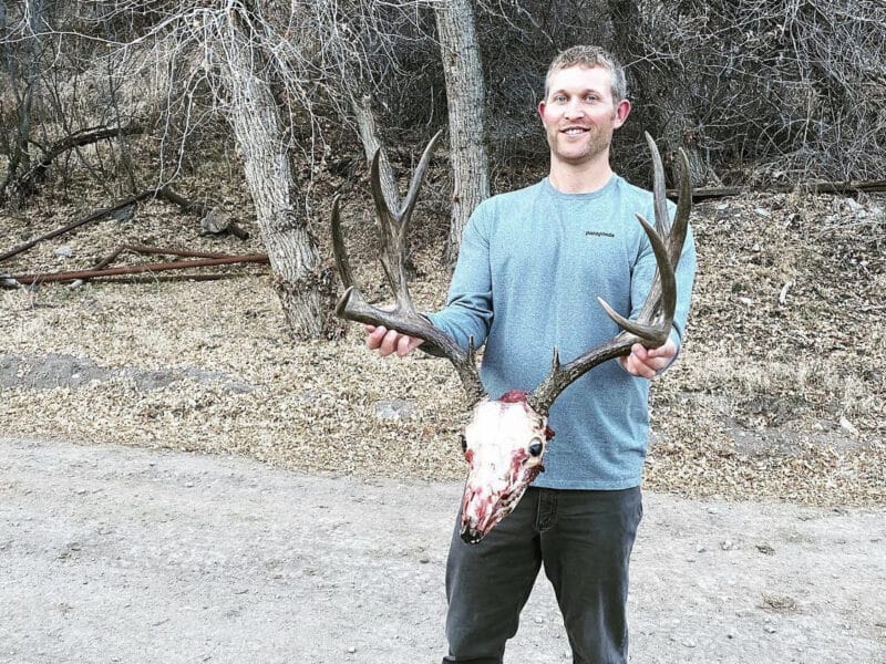 7 Day Elk Hunt | Drop Camp | Rifle | Gypsum, CO