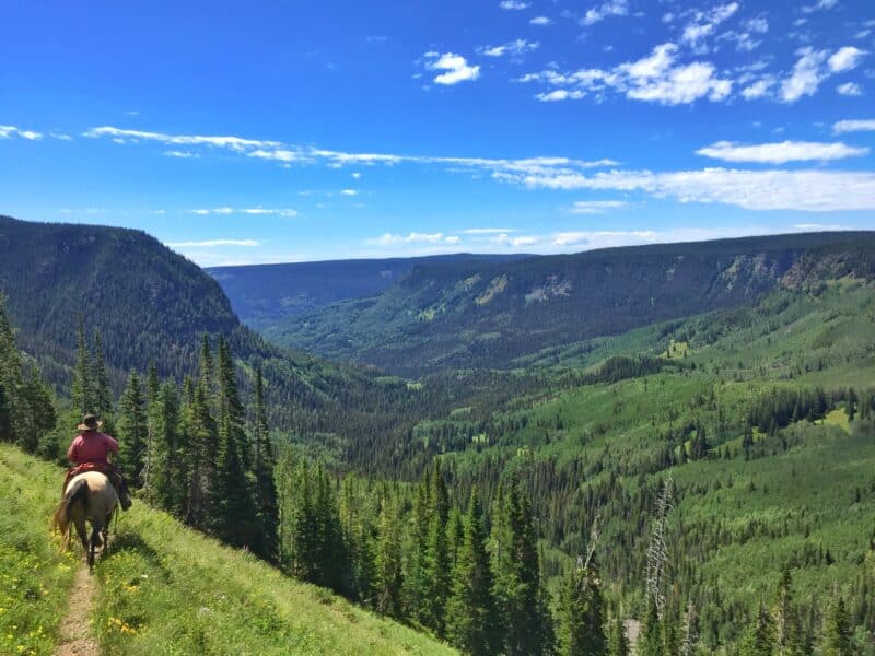 7 Day Elk Hunt | Drop Camp | Rifle | Gypsum, CO