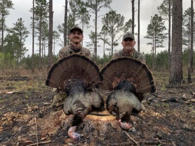 2 Day Eastern Wild Turkey Hunt | Archery | Arlington, GA