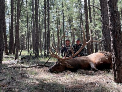 7 Day Elk Hunt Guide-Only | Rifle | Paulden, AZ