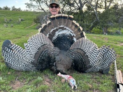 3 Day Guided Turkey Hunt | Shotgun | Collbran Colorado, Rifle Colorado & Meeker, CO