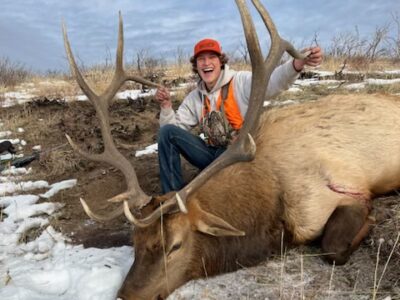 5 Day Guided Elk Hunt | Rifle Colorado & Collbran Colorado